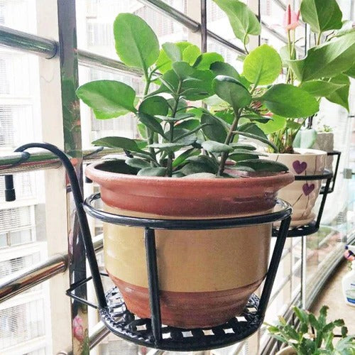 Soporte para plantas colgante BellaNatura® - LLEVA MÁS, PAGA MENOS